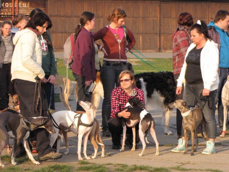 Mendlánecký sysel (6.4.2014), Brno-Mendlánky